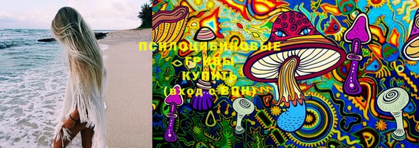 дурь Горнозаводск