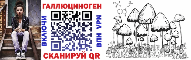 Галлюциногенные грибы Psilocybe  как найти закладки  Щёлково 